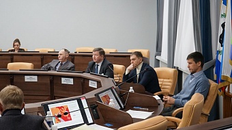 Восемь вопросов рассмотрели депутаты двух комиссий Думы города Иркутска на заседаниях 24 января