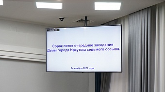 На заседании Думы Иркутска в ноябре депутаты приняли решения по 18 вопросам