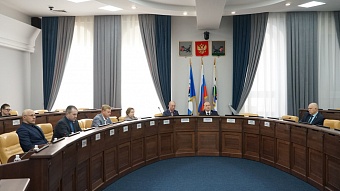 Строительство спортивных объектов и украшение Иркутска обсудила комиссия Думы по социальной политике