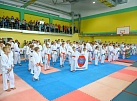VII Открытое первенство, чемпионат города по всестилевому карате и фестиваль MOTIVATION 2024 прошли в Иркутске