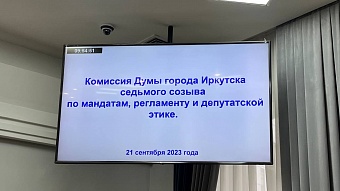 Кадровые вопросы рассмотрела комиссия Думы города Иркутска по мандатам, регламенту и депутатской этике 