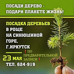 Депутат Григорий Вакуленко приглашает жителей Синюшиной Горы посадить деревья в роще